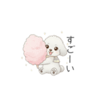 犬の日特集用♡トイプードル春夏用スタンプ（個別スタンプ：22）