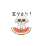 犬の日特集用♡トイプードル春夏用スタンプ（個別スタンプ：24）