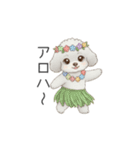 犬の日特集用♡トイプードル春夏用スタンプ（個別スタンプ：25）