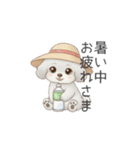 犬の日特集用♡トイプードル春夏用スタンプ（個別スタンプ：36）