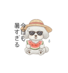犬の日特集用♡トイプードル春夏用スタンプ（個別スタンプ：37）
