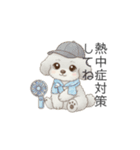 犬の日特集用♡トイプードル春夏用スタンプ（個別スタンプ：38）