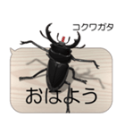 集まれ！日本のクワガタ2（個別スタンプ：1）