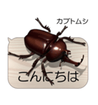 集まれ！日本のクワガタ2（個別スタンプ：2）