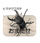集まれ！日本のクワガタ2（個別スタンプ：4）