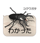 集まれ！日本のクワガタ2（個別スタンプ：7）