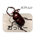 集まれ！日本のクワガタ2（個別スタンプ：8）