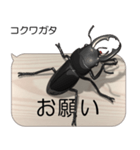 集まれ！日本のクワガタ2（個別スタンプ：10）
