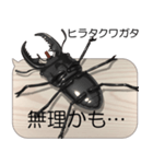 集まれ！日本のクワガタ2（個別スタンプ：11）