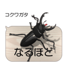 集まれ！日本のクワガタ2（個別スタンプ：18）