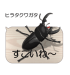 集まれ！日本のクワガタ2（個別スタンプ：19）