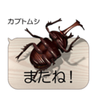 集まれ！日本のクワガタ2（個別スタンプ：23）