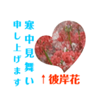 冬に向かって彼岸花スタンプ（個別スタンプ：6）