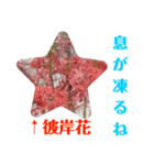 冬に向かって彼岸花スタンプ1（個別スタンプ：2）