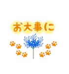 彼岸花とおしゃれ肉球（個別スタンプ：11）