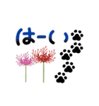 彼岸花とおしゃれ肉球（個別スタンプ：12）