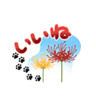 彼岸花とおしゃれ肉球（個別スタンプ：15）