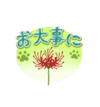 彼岸花とおしゃれ肉球（個別スタンプ：18）