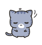 しましま子猫(会話の始めとおわりに)（個別スタンプ：29）