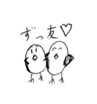 ただの鳥のスタンプ（個別スタンプ：29）
