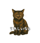 サビ柄のねこちゃん(言葉付き)（個別スタンプ：1）