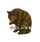 サビ柄のねこちゃん(言葉付き)（個別スタンプ：2）