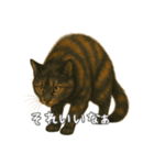 サビ柄のねこちゃん(言葉付き)（個別スタンプ：3）