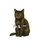 サビ柄のねこちゃん(言葉付き)（個別スタンプ：5）