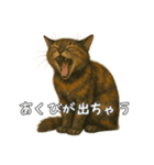 サビ柄のねこちゃん(言葉付き)（個別スタンプ：6）
