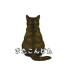 サビ柄のねこちゃん(言葉付き)（個別スタンプ：7）