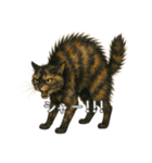 サビ柄のねこちゃん(言葉付き)（個別スタンプ：8）