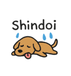 だるーい動物たち（個別スタンプ：3）