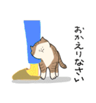 猫好きによる猫好きさんのためのスタンプ（個別スタンプ：12）