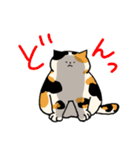 猫好きによる猫好きさんのためのスタンプ（個別スタンプ：20）