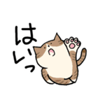 猫好きによる猫好きさんのためのスタンプ（個別スタンプ：22）