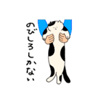 猫好きによる猫好きさんのためのスタンプ（個別スタンプ：28）
