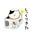 猫好きによる猫好きさんのためのスタンプ（個別スタンプ：29）
