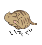 猫好きによる猫好きさんのためのスタンプ（個別スタンプ：33）