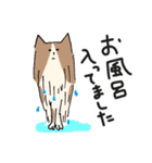 猫好きによる猫好きさんのためのスタンプ（個別スタンプ：36）