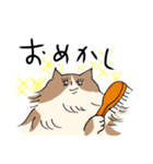 猫好きによる猫好きさんのためのスタンプ（個別スタンプ：37）