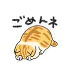 猫好きによる猫好きさんのためのスタンプ（個別スタンプ：40）