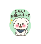 白い犬(もふもふ)1（個別スタンプ：1）
