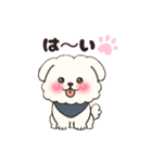 白い犬(もふもふ)1（個別スタンプ：2）