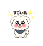 白い犬(もふもふ)1（個別スタンプ：3）
