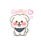 白い犬(もふもふ)1（個別スタンプ：4）