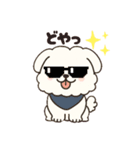 白い犬(もふもふ)1（個別スタンプ：5）