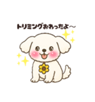 白い犬(もふもふ)1（個別スタンプ：10）