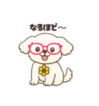 白い犬(もふもふ)1（個別スタンプ：11）