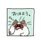 二足歩行の野良猫（個別スタンプ：4）