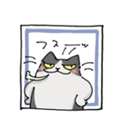二足歩行の野良猫（個別スタンプ：6）